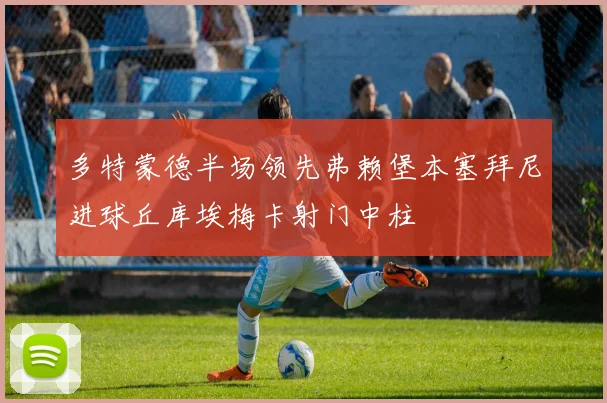 多特蒙德半场领先弗赖堡本塞拜尼进球丘库埃梅卡射门中柱
