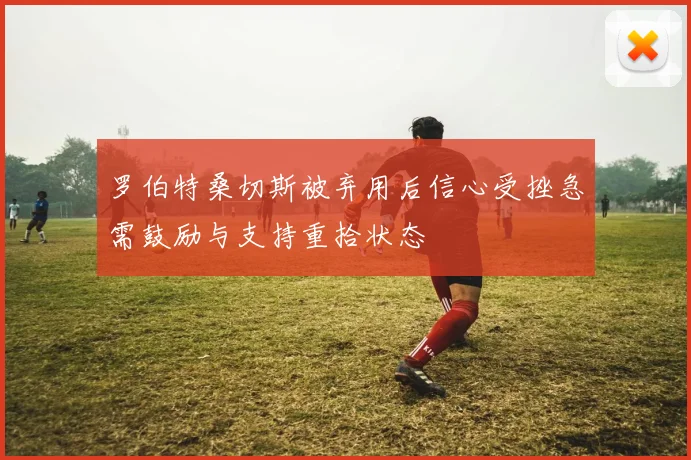罗伯特桑切斯被弃用后信心受挫急需鼓励与支持重拾状态