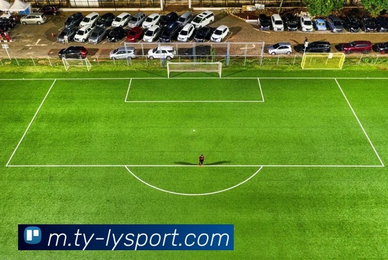 乐鱼体育平台生态图